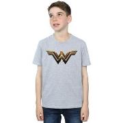 T-shirt enfant Dc Comics BI21895