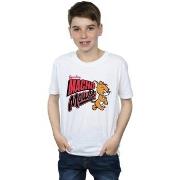 T-shirt enfant Dessins Animés Macho Mouse