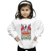 Sweat-shirt enfant Fantastic Beasts BI17018
