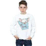 Sweat-shirt enfant Animaniacs BI5650