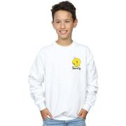 Sweat-shirt enfant Dessins Animés BI22657