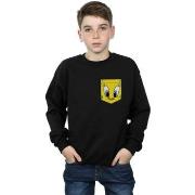 Sweat-shirt enfant Dessins Animés BI22867