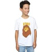 T-shirt enfant Disney The Lion King