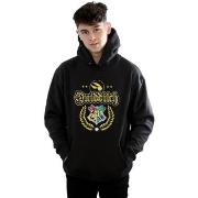 Sweat-shirt Harry Potter Quidditch Crest