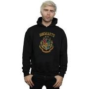 Sweat-shirt Harry Potter BI12284