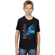 T-shirt enfant Harry Potter BI20688