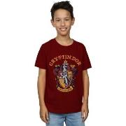 T-shirt enfant Harry Potter BI20837