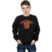 Sweat-shirt enfant Harry Potter Gryffindor