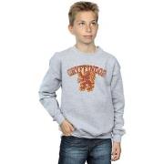 Sweat-shirt enfant Harry Potter Gryffindor