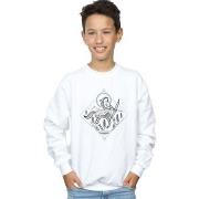 Sweat-shirt enfant Harry Potter BI19524