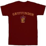 T-shirt enfant Harry Potter BI20811