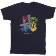 T-shirt enfant Harry Potter Emblems H Spray