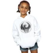 Sweat-shirt enfant Fantastic Beasts Magical Congress