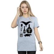 T-shirt Fantastic Beasts BI22974