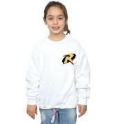 Sweat-shirt enfant Dc Comics BI15370