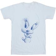 T-shirt enfant Dessins Animés Tweety Attitude