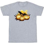 T-shirt Dc Comics Batman Pumpkins