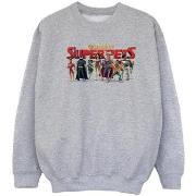 Sweat-shirt enfant Dc Comics DCs DC League Of Super-Pets