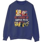 Sweat-shirt Dc Comics DC League Of Super-Pets