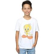T-shirt enfant Dessins Animés Tweety Pie Distressed