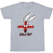 T-shirt enfant Dessins Animés Coyote England Face