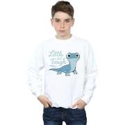 Sweat-shirt enfant Disney Frozen 2 Salamander Bruni Tough