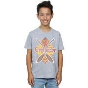 T-shirt enfant Harry Potter Gryffindor