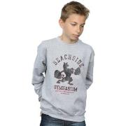 Sweat-shirt enfant Scooby Doo Beachside Gymnasium