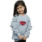 Sweat-shirt enfant Dc Comics Justice League