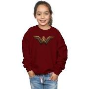 Sweat-shirt enfant Dc Comics Justice League