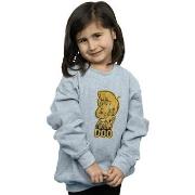 Sweat-shirt enfant Scooby Doo BI33568