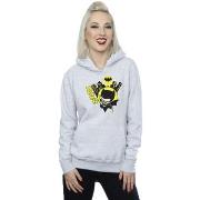 Sweat-shirt Dc Comics BI2565