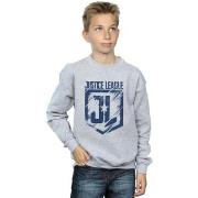 Sweat-shirt enfant Dc Comics Justice League