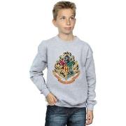 Sweat-shirt enfant Harry Potter BI19907