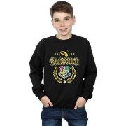 Sweat-shirt enfant Harry Potter Quidditch Crest