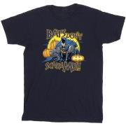 T-shirt Dc Comics Batman Bats Don't Scare Me