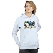 Sweat-shirt Dc Comics BI2940