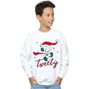 Sweat-shirt enfant Dessins Animés BI23529