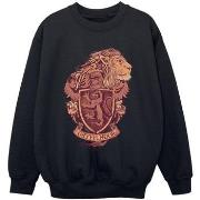 Sweat-shirt enfant Harry Potter Gryffindor Sketch Crest