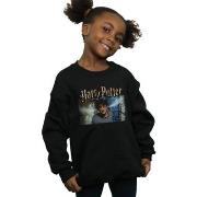 Sweat-shirt enfant Harry Potter BI20491