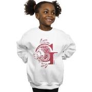 Sweat-shirt enfant Harry Potter Gryffindor Glitter