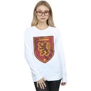 Sweat-shirt Harry Potter BI20377