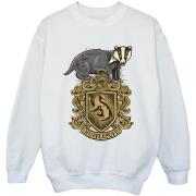 Sweat-shirt enfant Harry Potter BI20512
