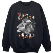 Sweat-shirt enfant Harry Potter Gryffindor