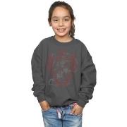 Sweat-shirt enfant Harry Potter Gryffindor Lion Crest