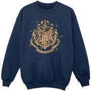 Sweat-shirt enfant Harry Potter BI20977