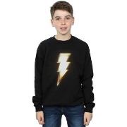 Sweat-shirt enfant Dc Comics BI32785