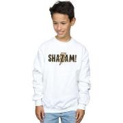 Sweat-shirt enfant Dc Comics BI32801