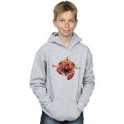 Sweat-shirt enfant Dc Comics BI2964