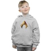 Sweat-shirt enfant Dc Comics BI3011